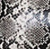 Black/ Neutral Snakeskin