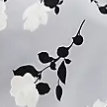 Silver Mist