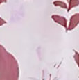 Spring Lilac B