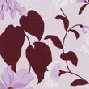 Spring Lilac C