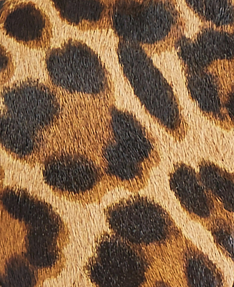 ann taylor animal print shoes