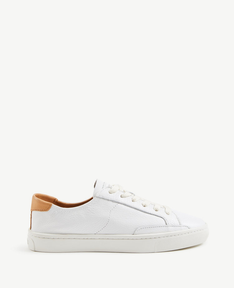 soludos sneakers