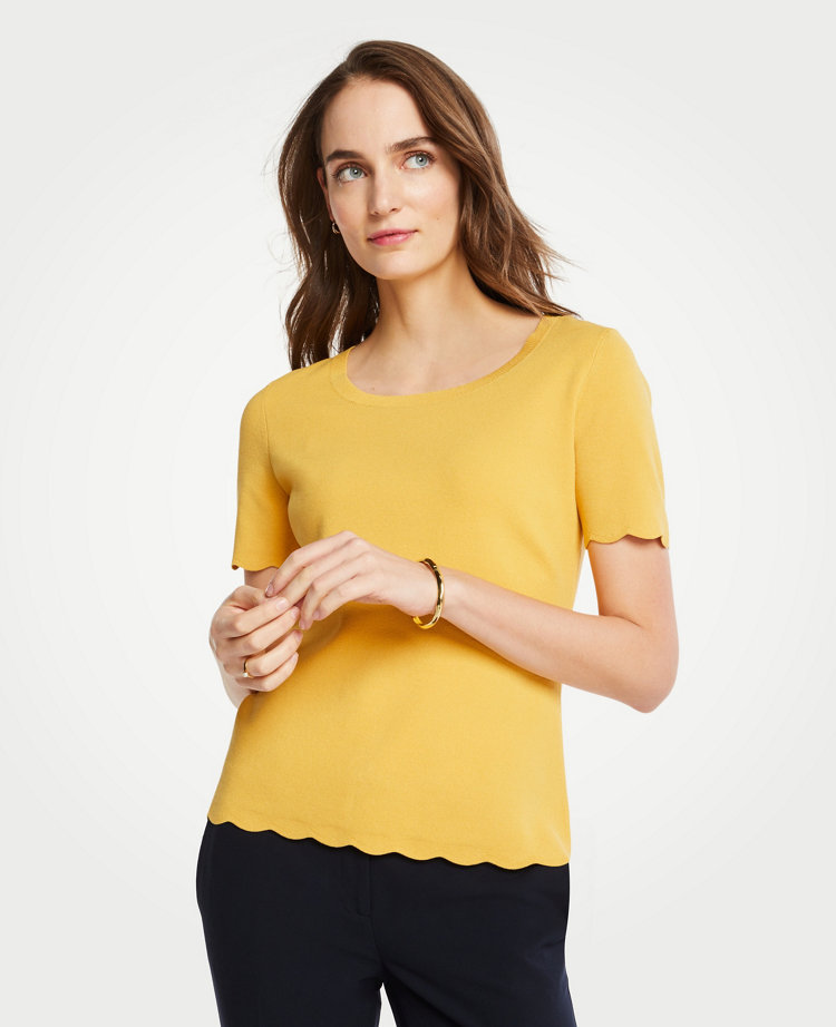 ANN TAYLOR SCALLOPED SWEATER TEE,487961