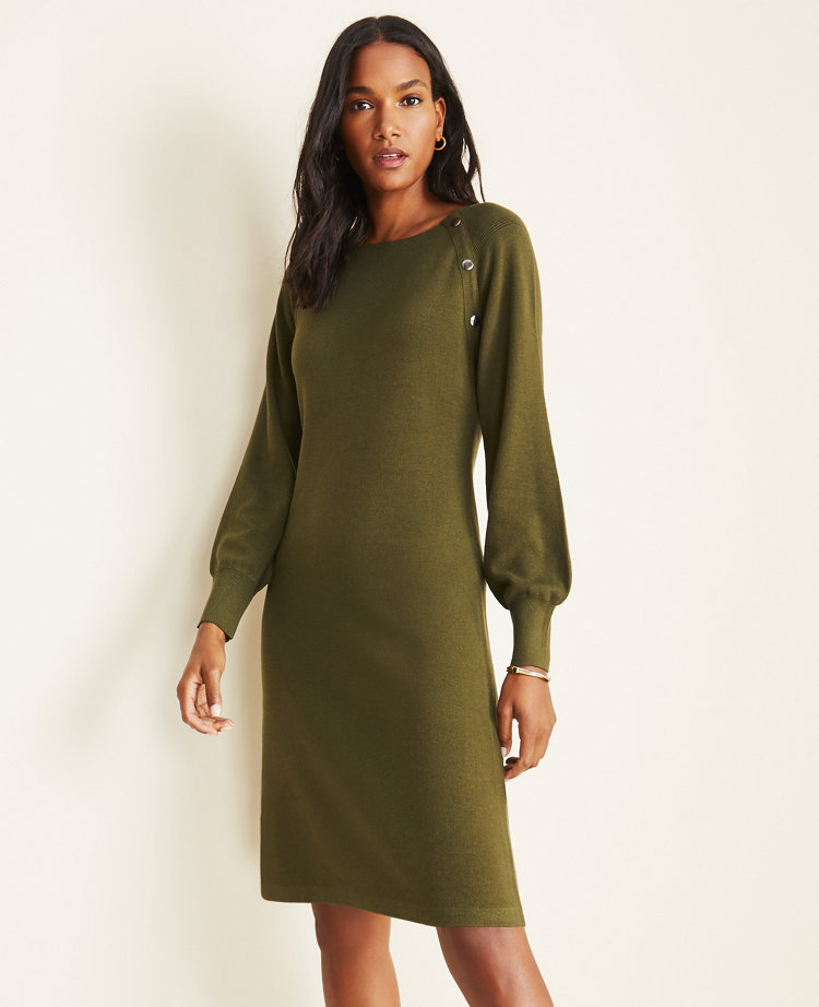 professional sweater dress