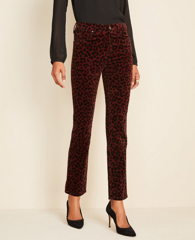 Petite Velvet Leopard Print Skinny Jeans | Ann Taylor 6 Outfits with Leopard Print Heels | Fashion Over 40