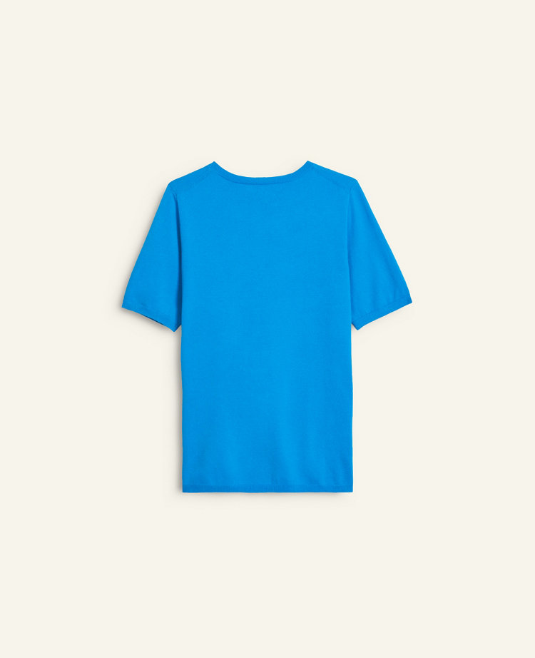 Petite Easy Sweater Tee carousel Product Image 2