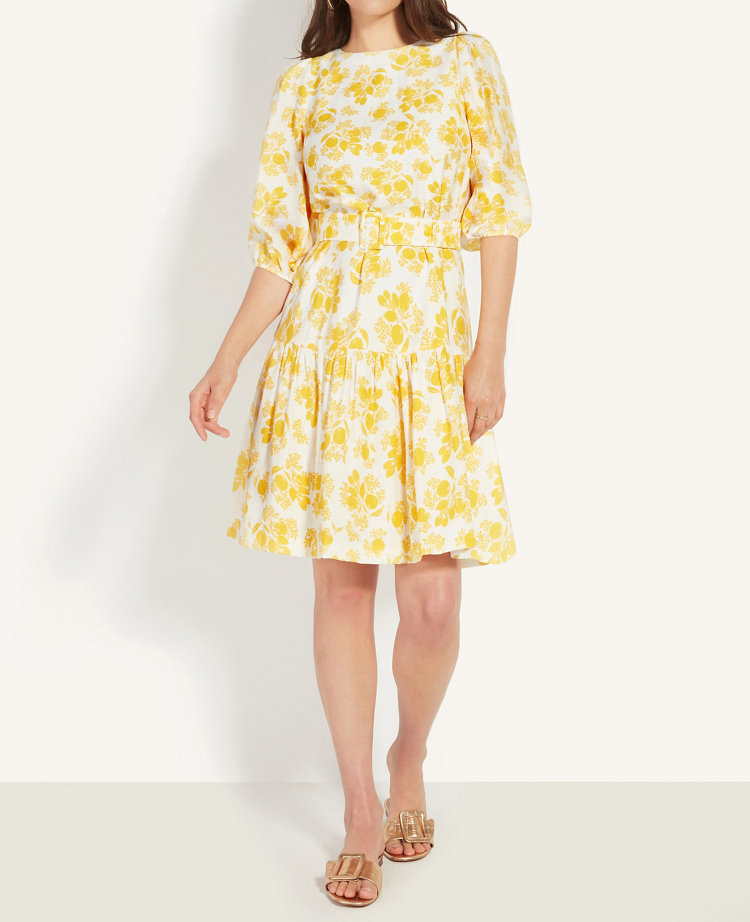 ann taylor womens dresses