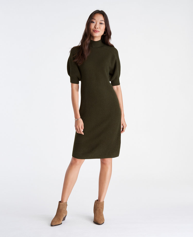 ann taylor fall dresses