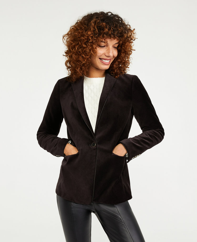 Ann taylor hot sale hutton blazer