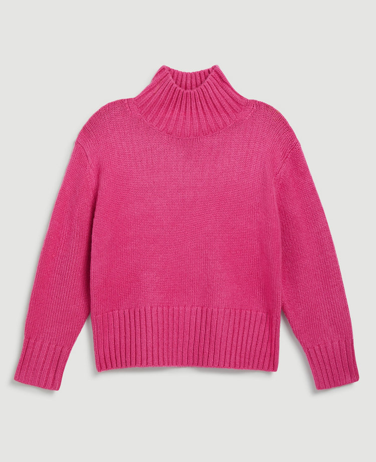 Ribbed Turtleneck Sweater carousel Product Image 2