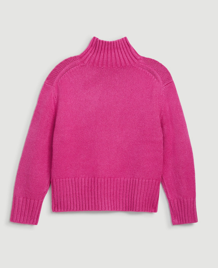 Ribbed Turtleneck Sweater carousel Product Image 3