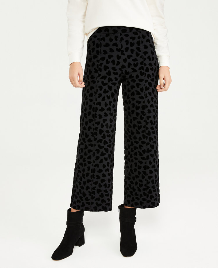 ann taylor pants