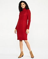 Turtleneck Cable Sweater Dress carousel Product Image 1