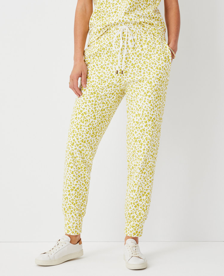 ann taylor joggers