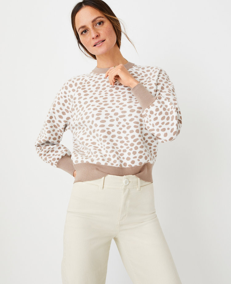 ann taylor white cardigan