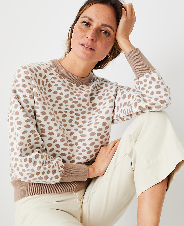 Leopard Print Sweatshirt Sweater