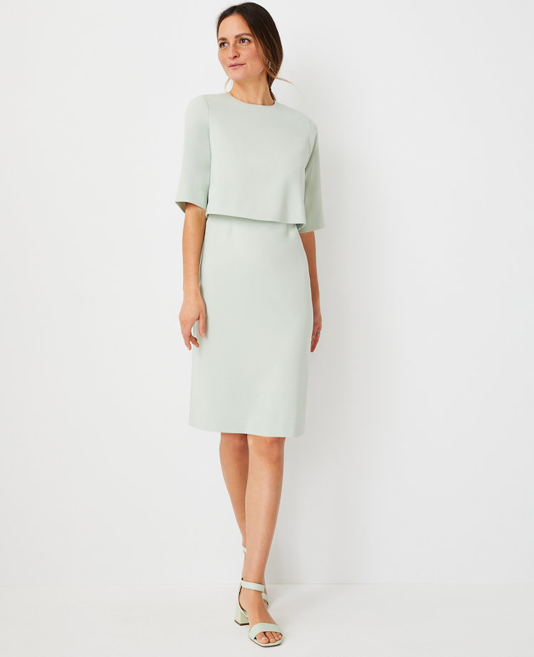 Overlay Elbow Sleeve Dress