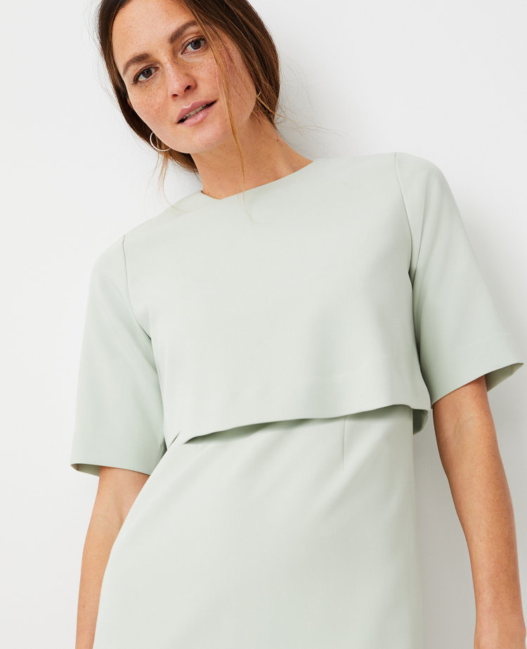 Overlay Elbow Sleeve Dress