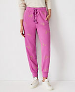 The Petite Embroidered Jogger Pant carousel Product Image 1