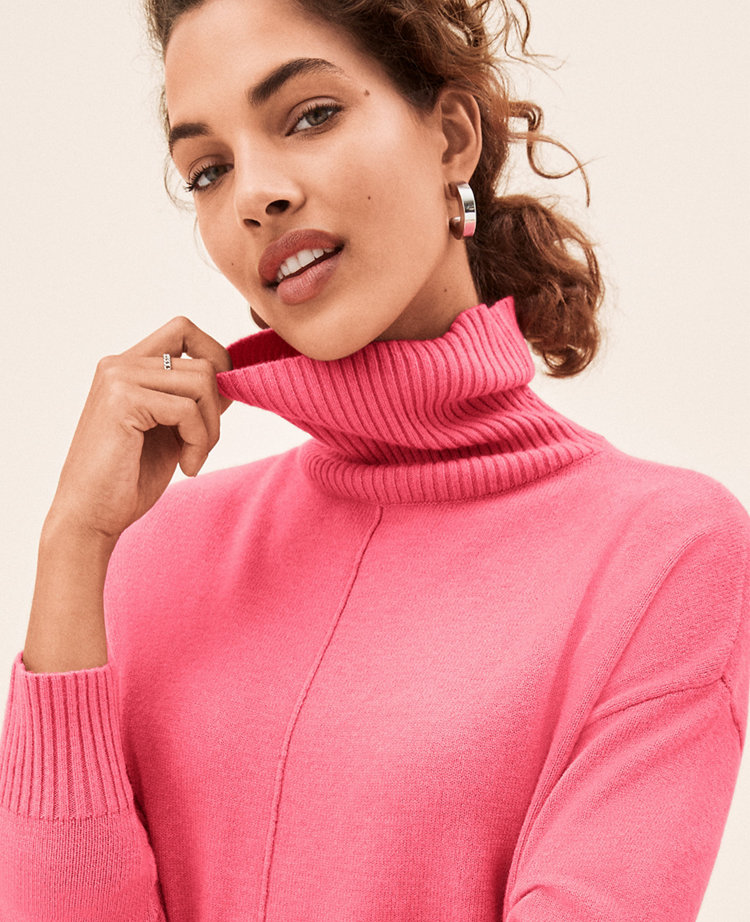 Seamed Turtleneck Tunic Sweater