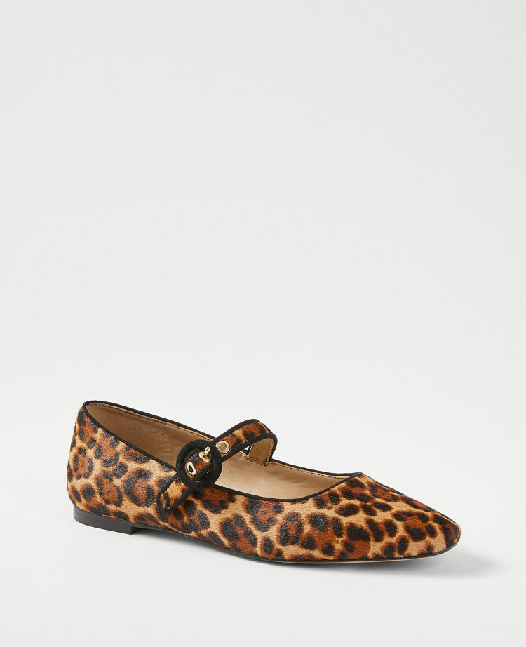 Ann taylor flats online