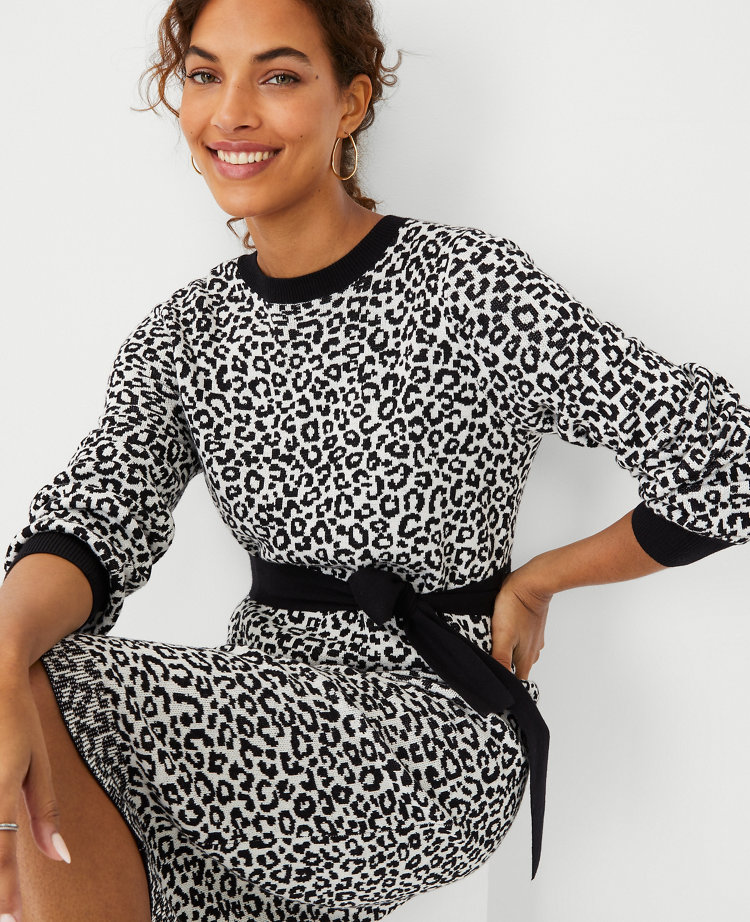 ann taylor fall dresses