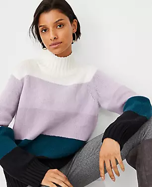 Ombre Stripe Turtleneck Sweater carousel Product Image 1