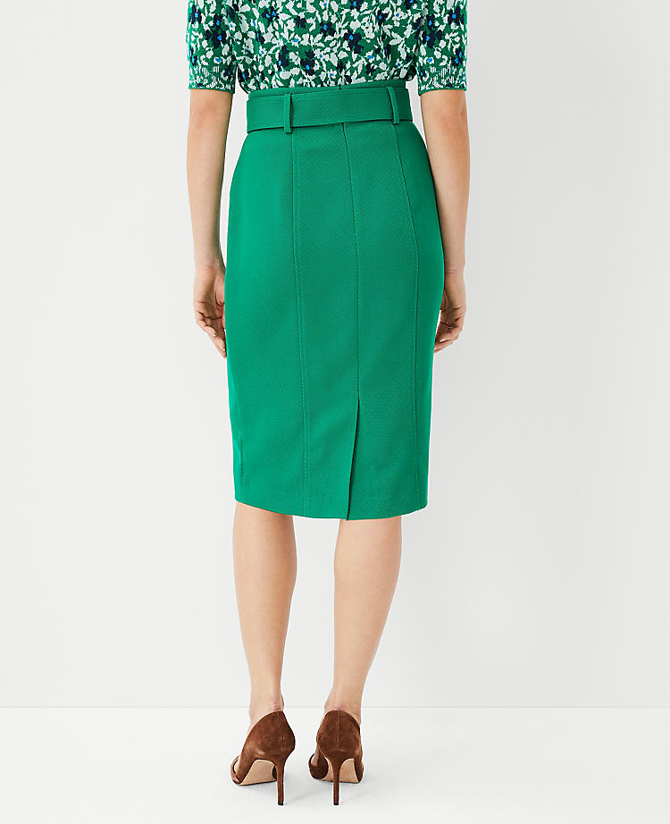 Belted Seamed Pencil Skirt