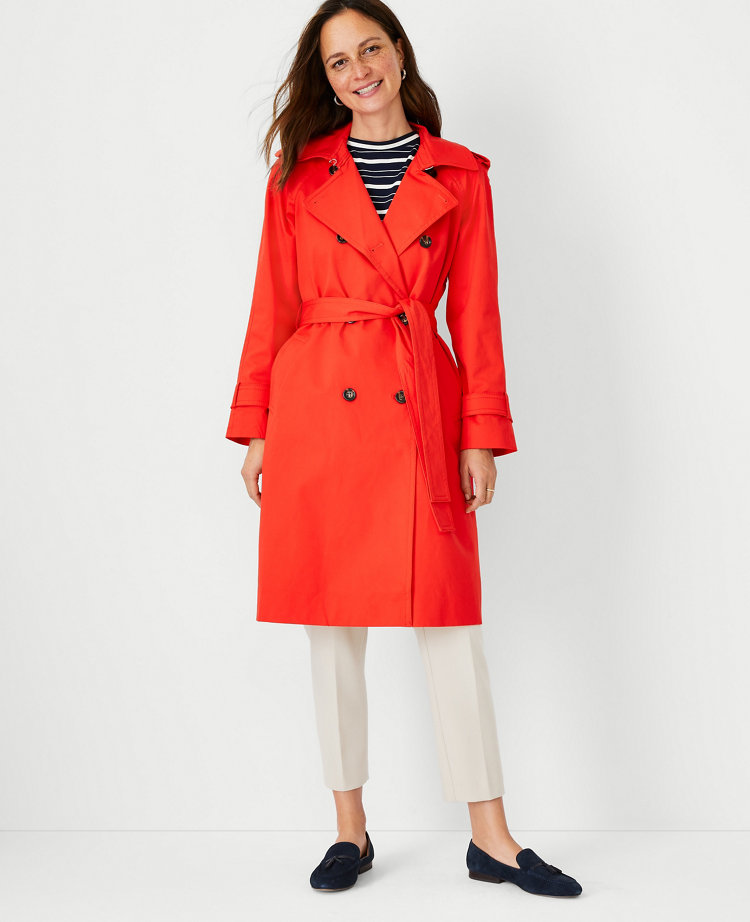 ann taylor coat dress