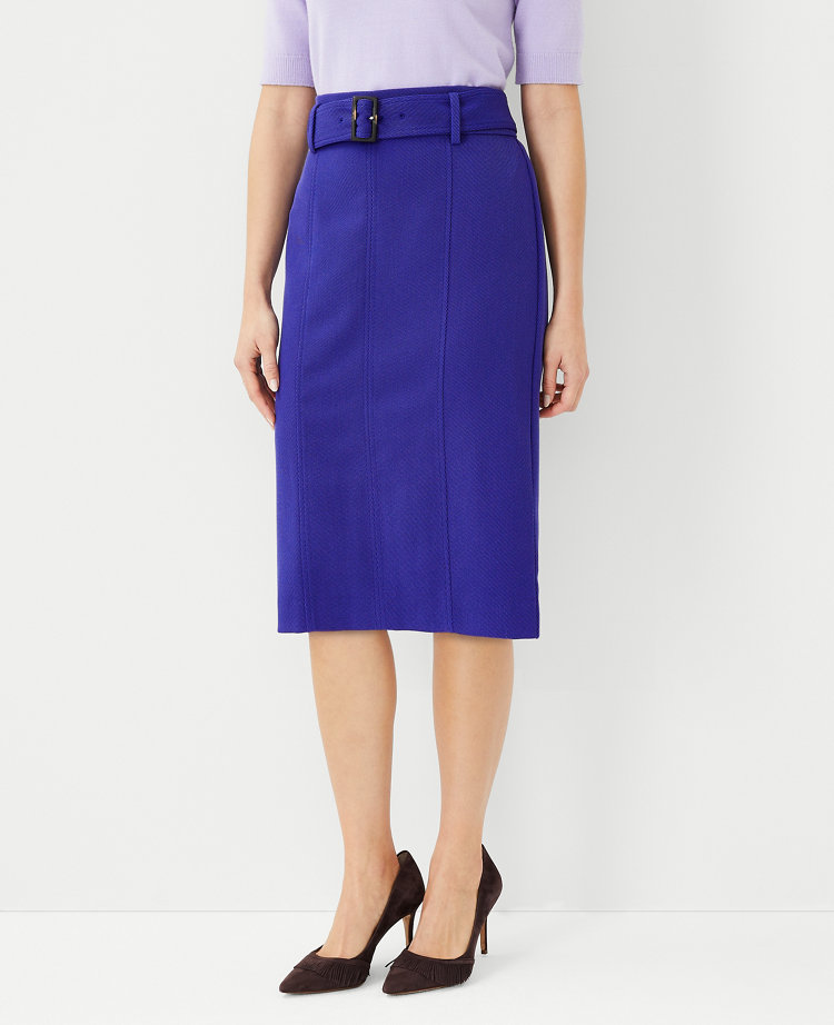 Curvy Belted Seamed Pencil Skirt