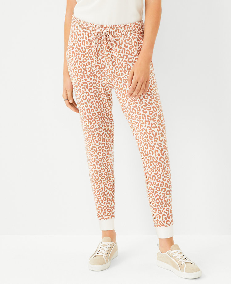 Ann taylor jogger pants online