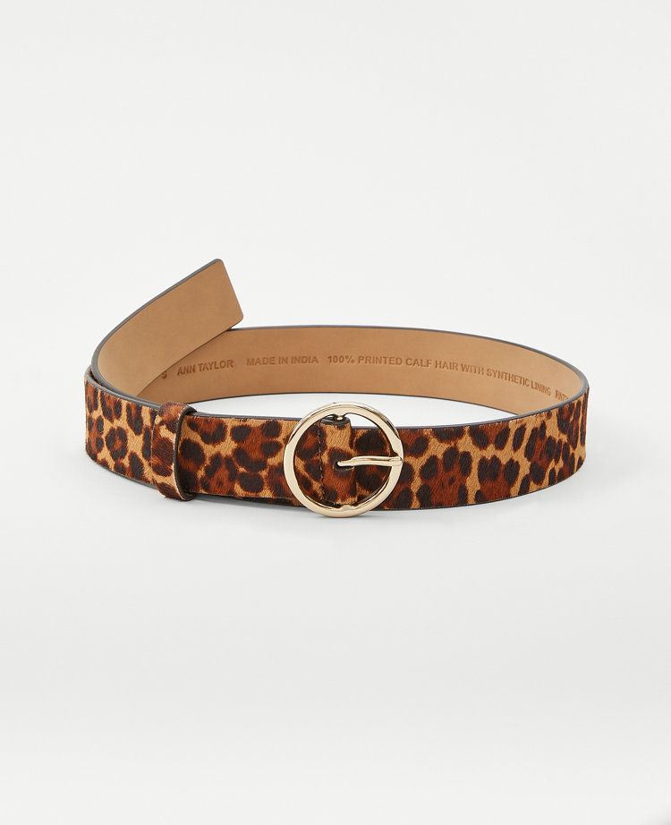 Leopard on sale gucci belt