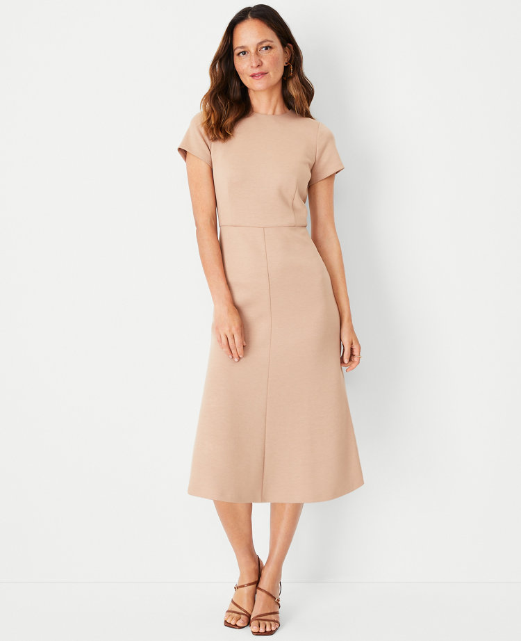 Ann taylor deals wedding guest dresses