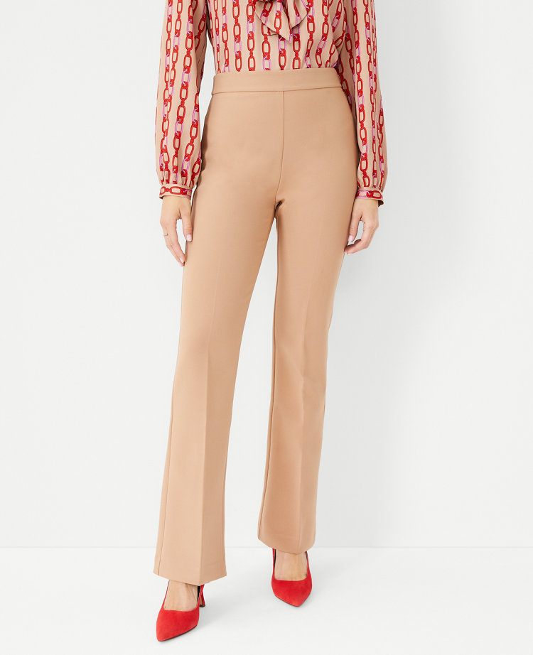 ann taylor pants