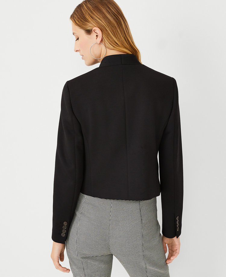 Cropped on sale blazer petite