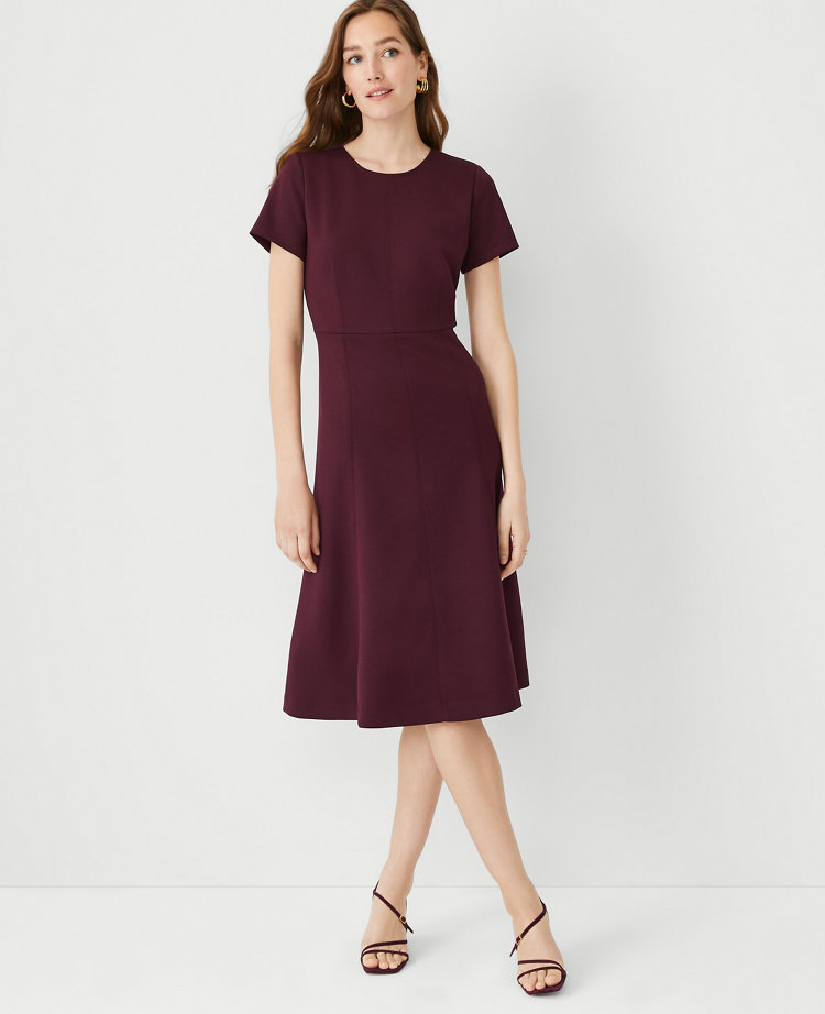 Petite Seamed Flare Midi Dress