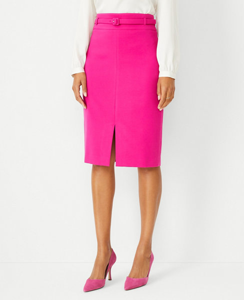 Women's Skirts: Pleated, A-Line, Wrap & More | Ann Taylor