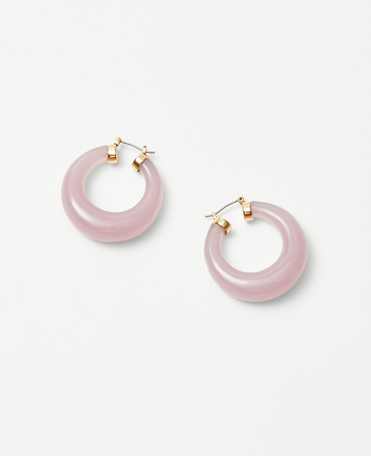 Wide Hoop Earrings carousel Product Image 1