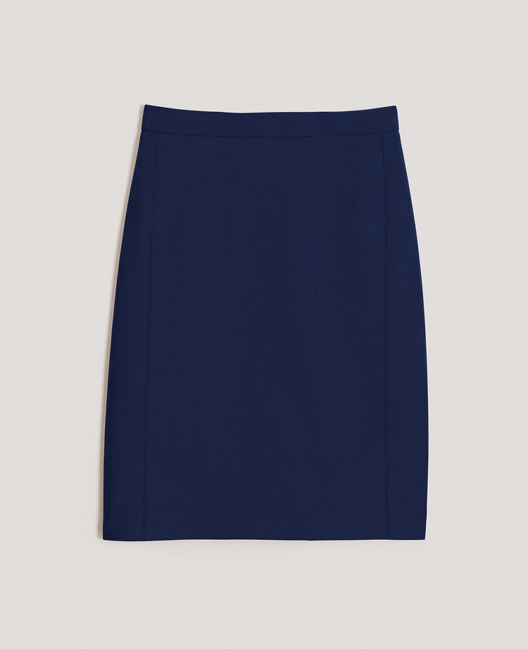 Women's Blue Skirts