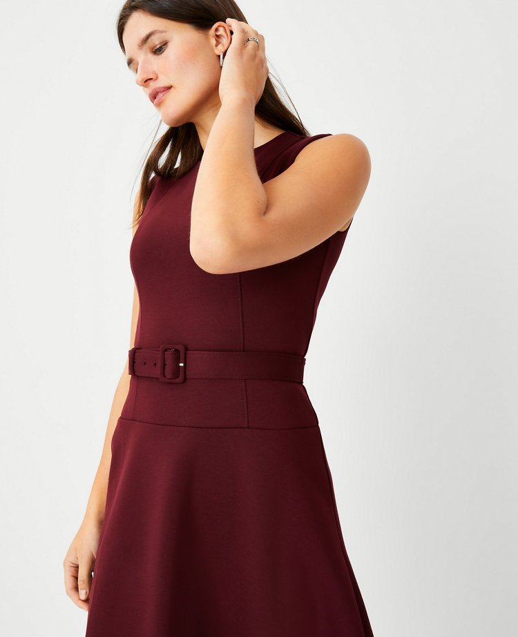 Petite Sleeveless Belted Flare Dress