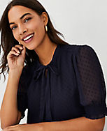 Crinkle Clip Tie Neck Puff Sleeve Top carousel Product Image 3