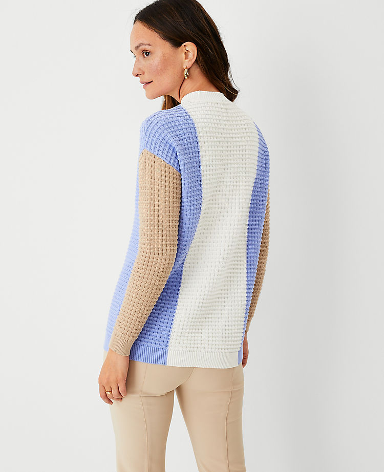 Petite Colorblock Textured Mock Neck Sweater