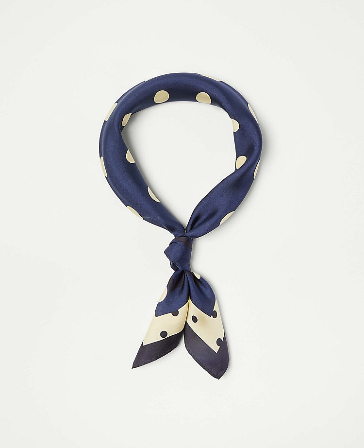 Dotted Silk Little Scarf