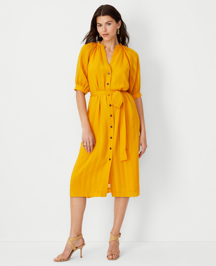 Puff Sleeve Belted Shirtdress