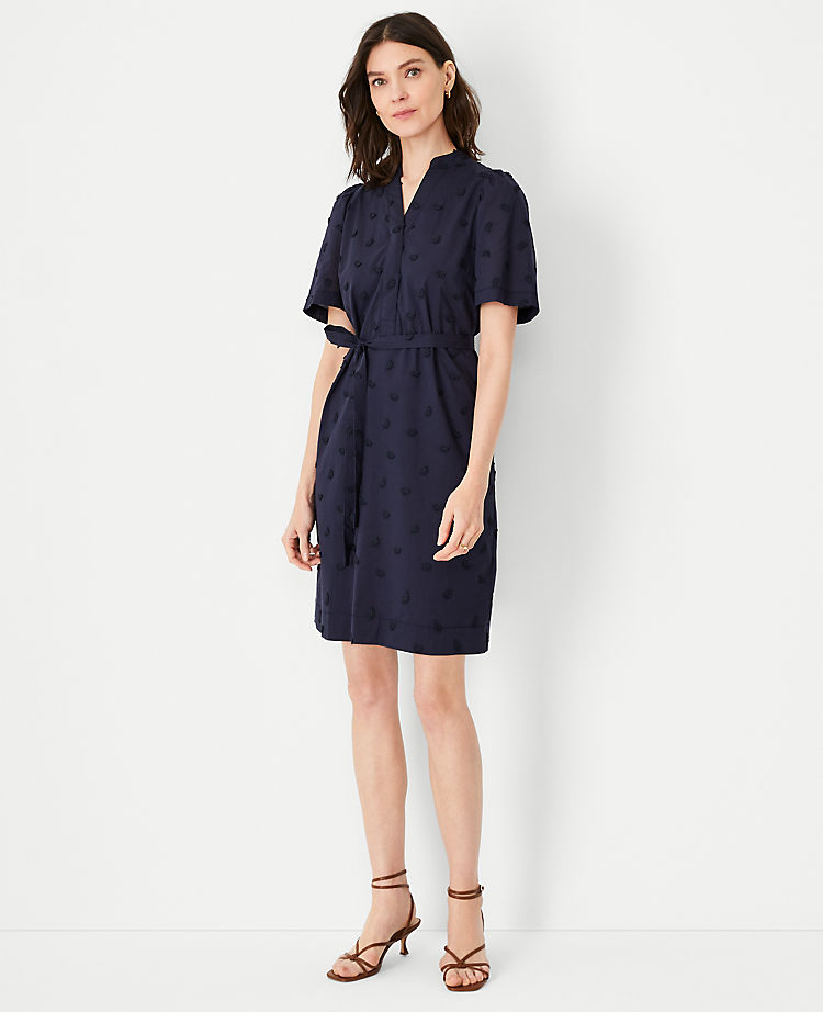 Petite Embroidered Belted Shift Dress