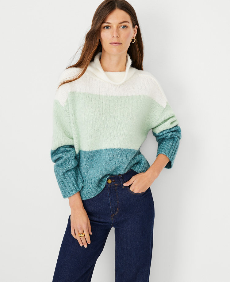 Petite roll neck jumper best sale