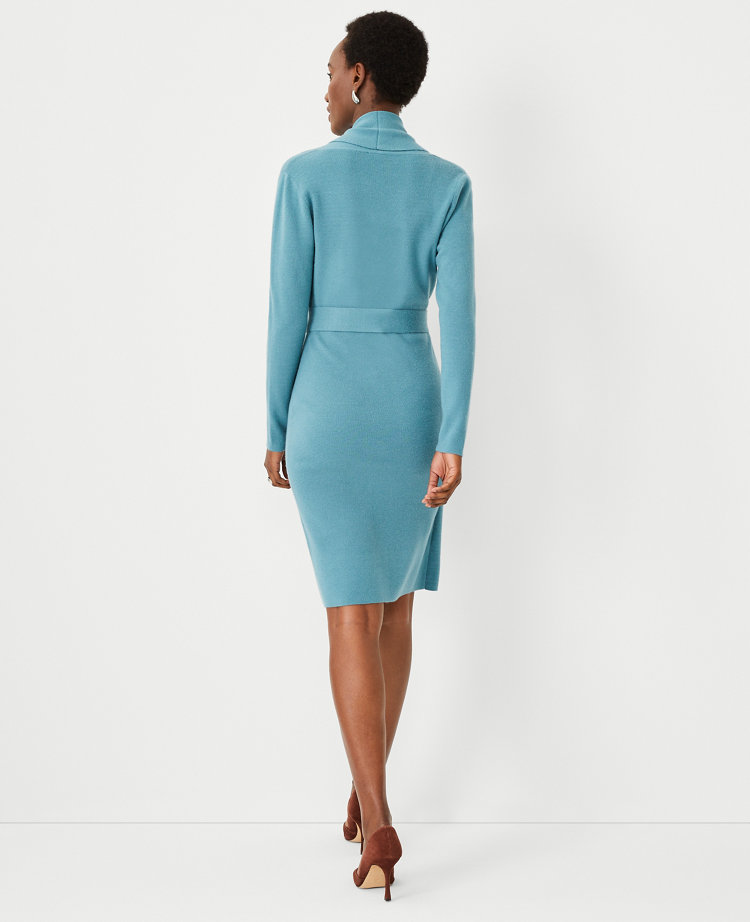 Petite Shawl Collar Belted Wrap Sweater Dress