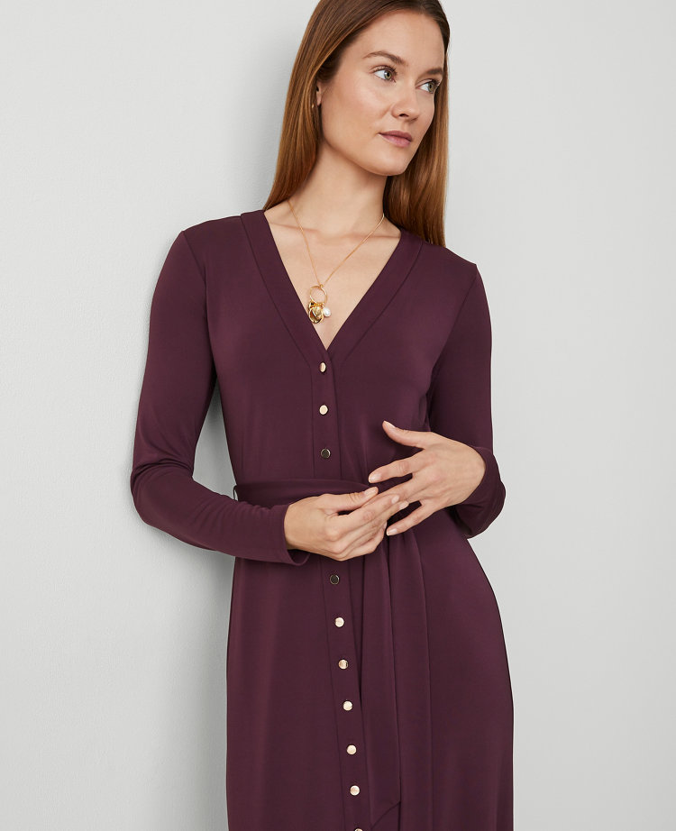 Petite Button V-Neck Flare Knit Midi Dress carousel Product Image 3