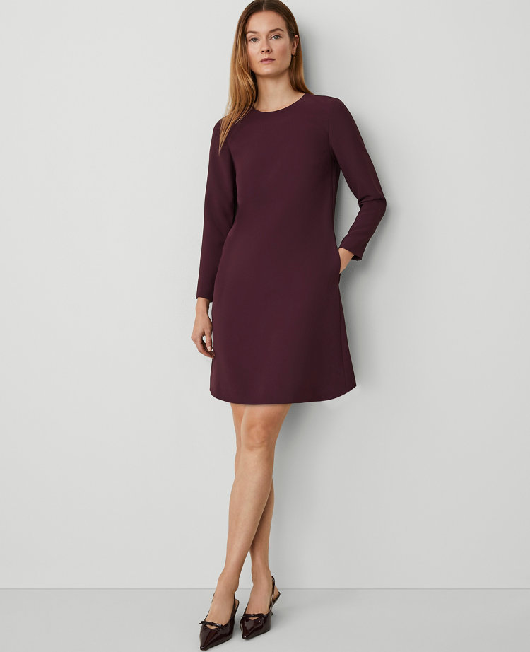 Petite Long Sleeve Shift Dress