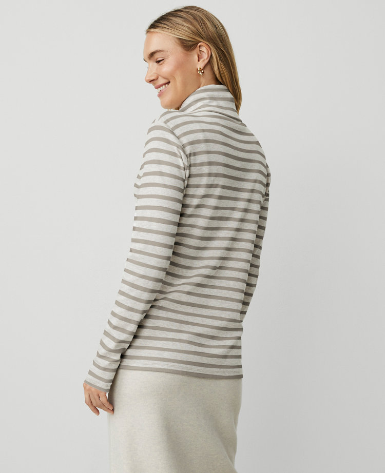 Petite Striped Turtleneck Top carousel Product Image 3